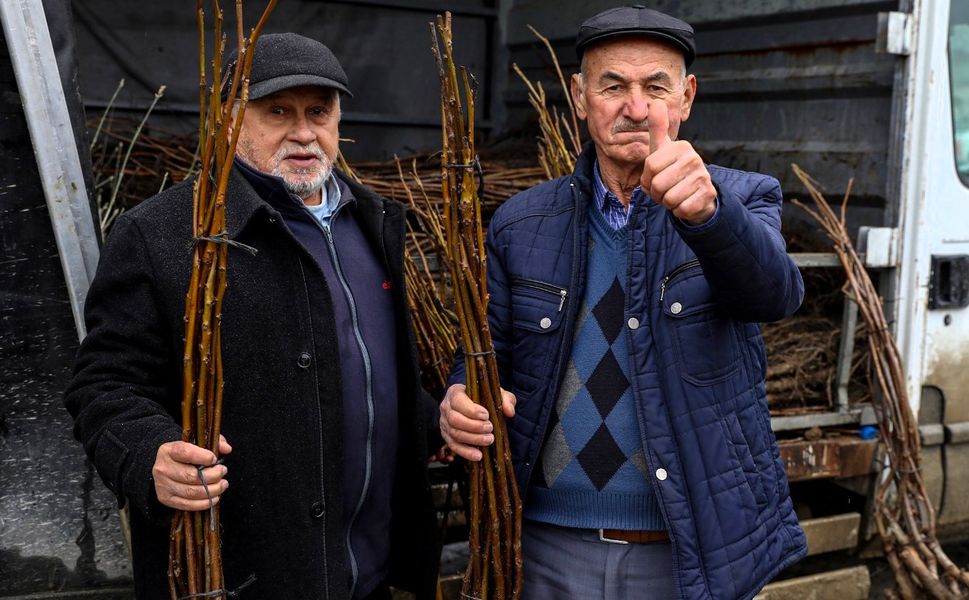 Bursa Büyükşehir’de üreticiye fidan ve tohum desteği