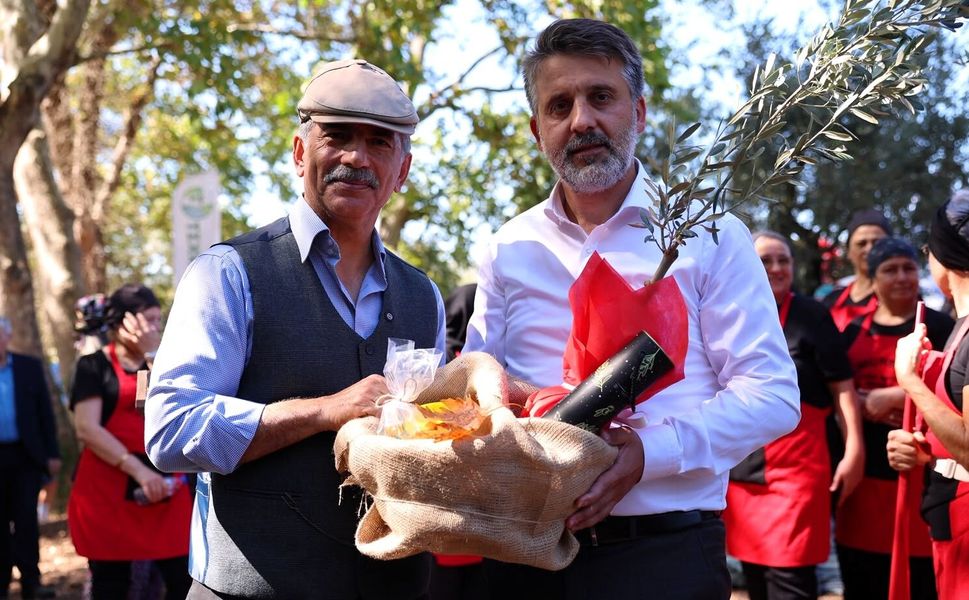 Bursa'nın zeytin mirası Gemlik ve Orhangazi'de yaşatılıyor